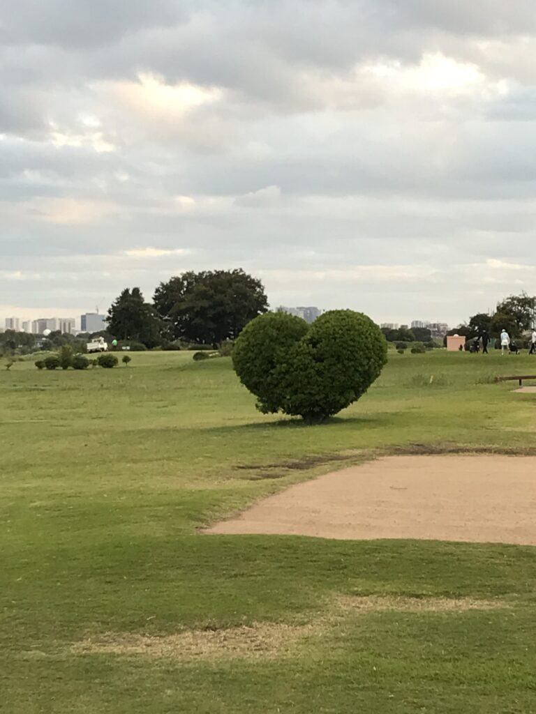 多摩川ゴルフ俱楽部名物ハート型の木